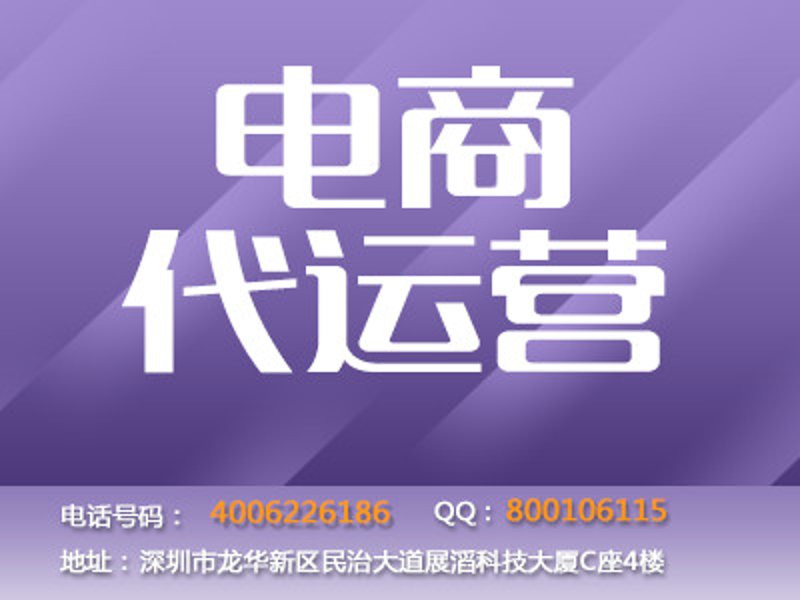 电商时代的新风景:南海电商代运营市场观察